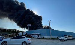 Manisa'da bir fabrikada çıkan yangına müdahale ediliyor