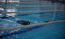 Paletli Yüzme Milli Takımı, Dünya ve Avrupa şampiyonalarına Çorum'da hazırlanıyor