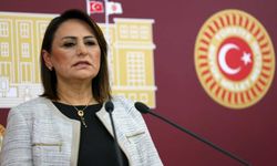 CHP'li Şevkin: "Afet ve Acil Durum Bakanlığı kurulmalı"