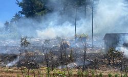 Adana Aladağ'da çıkan orman yangını söndürüldü