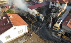 Afyonkarahisar'da ot yüklü kamyonet ile bir evin bahçesindeki otlar yandı