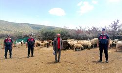 Aksaray'da jandarma ekipleri kayıp koyunları dronla buldu
