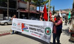 Antalya'da "Eskihisar Köyü Domates Festivali" başladı