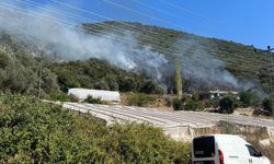 Antalya'nın Kaş ilçesinde makilik alanda yangın çıktı
