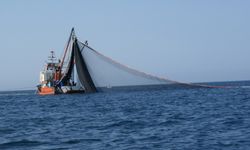 Ordu'da 460 balıkçı teknesi yeni av sezonuna hazır