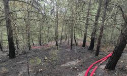 Kilis'te yangına müdahale eden itfaiye eri dumandan etkilendi