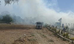 Bodrum'da makilik ve otluk alanda yangın çıktı