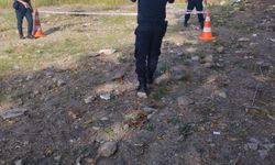 Bursa'da İznik Gölü'nde bulunan el bombası imha edildi