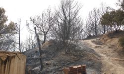 Cezayir’deki orman yangınlarında ölenlerin sayısı 34’e yükseldi