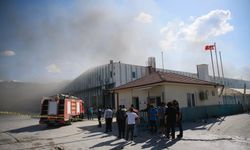 Eskişehir'deki palet fabrikasında başlayan yangın, depoya sıçradı
