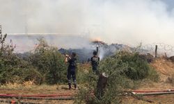 Adana'da orman ürünleri satılan iş yerinde çıkan yangın söndürüldü