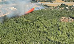 Antalya'nın Aksu ilçesinde çıkan orman yangını kontrol altına alındı