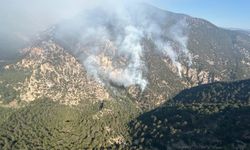 Bolu'da yıldırım düşmesi sonucu çıkan orman yangını kontrol altına alındı