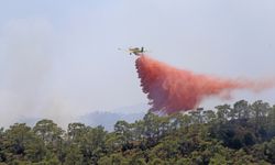 Fethiye'de çıkan orman yangını kontrol altına alındı