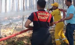 Muğla'da çıkan orman yangını kontrol altına alındı