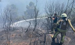 İzmir'de alev alan otomobil orman yangınına yol açtı