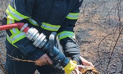 Hatay'da anız yangınında alevlerin ortasında kalan kaplumbağa kurtarıldı