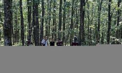 Kırklareli'nde ormanda kaybolan iki kişiyi jandarma ekipleri buldu