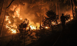 Kütahya'daki orman yangına müdahale ediliyor