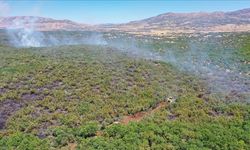 Diyarbakır'ın Lice ilçesinde çıkan orman yangını söndürüldü