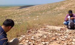 Mardin'de Pleistosen ve Erken Holosen döneme ilişkin arkeolojik yüzey araştırması başlatıldı