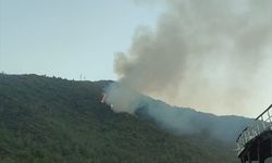 Marmaris'te çıkan orman yangını havadan ve karadan müdahaleyle söndürüldü