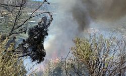 Mersin'de çıkan orman yangını kontrol altına alındı