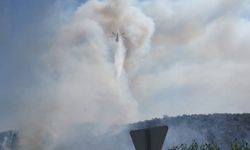 Milas-Bodrum Havalimanı yolunda ormanlık alanda çıkan yangın kontrol altına alındı