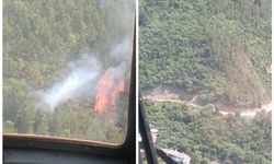 Yalova Çınarcık'taki orman yangını korkuttu