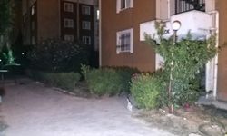 Adana'da ev sahibi ile kiracısı arasında çıkan kavgada 3 kişi yaralandı