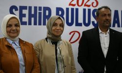 AK Parti Grup Başkanvekili Usta, Düzce'de şehir buluşmalarına katıldı: