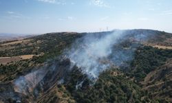 Ankara Çubuk'ta çıkan orman yangınına müdahale ediliyor