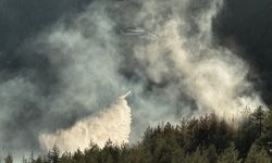 Antalya'da çıkan orman yangınında 10 dönüm alan zarar gördü