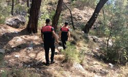 Antalya'da yangınlara karşı ormanlardaki denetimler artırıldı