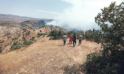 Bingöl'de ormanlık alanda çıkan yangına müdahale ediliyor