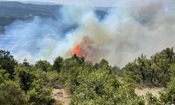 Bolu'da orman yangınına müdahale ediliyor