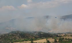 Çanakkale'de çıkan yangın tarım arazisinde zarara neden oldu