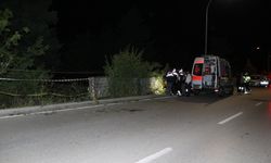 Erzurum'da trafik kazasında kardeşlerden biri öldü, diğeri ağır yaralandı