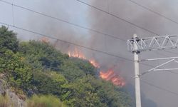 Kocaeli'de çıkan orman yangını kontrol altına alındı