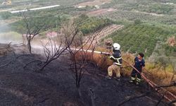 Hatay'da ağaçlık ve makilik alanda çıkan yangın söndürüldü