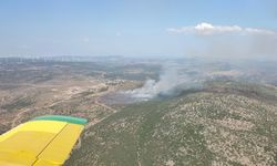 İzmir'de makilik alandaki yangına müdahale ediliyor