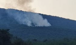 İzmir'de yıldırım isabet etmesi sonucu çıkan orman yangını kontrol altına alındı