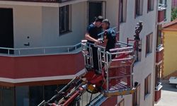 Karabük'te ipe dolanarak çatıda mahsur kalan kırlangıç kurtarıldı