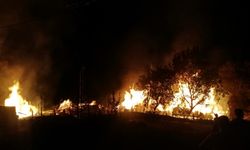 Kastamonu'da 5 evi saran yangına müdahale ediliyor