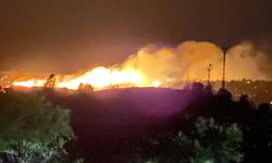 Malatya'da dağlık alanda çıkan yangına müdahale ediliyor