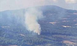 Manisa'da orman yangınına müdahale ediliyor
