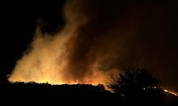 Marmara Adası'nda makilik alanda çıkan yangına müdahale ediliyor