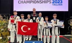 Milli tekvandoculardan Avrupa Gençler Şampiyonası'nda 2'si altın 6 madalya