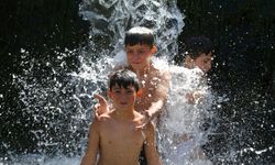 Muş'ta çocuklar ve gençler Çar Çayı'nda yüzerek serinliyor