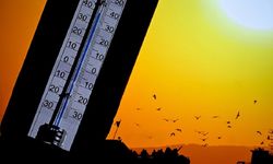 İspanya'nın Bask bölgesinde termometreler ilk defa 45,3 santigrat dereceyi gördü